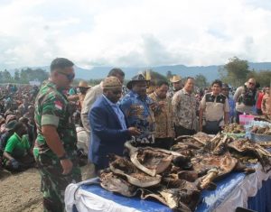 Ketua Asosiasi Bupati Se-Pegunungan Tengah Papua Ricky Ham Pagawak saat memotong daging babi