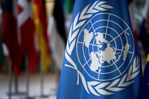 Klaim Masalah Papua di Forum PBB Tak Selalu Berdasar Bukti dan Fakta