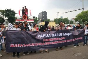 Aksi Mendukung Pemekaran Wilayah Papua