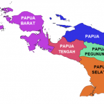 DOB Papua Tingkatkan Kesejahteraan Masyarakat Papua
